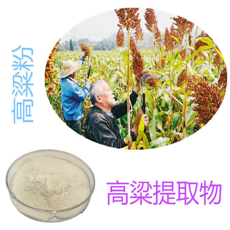 斯諾特生物 深耕植物提取物研發(fā)，以高粱提取物為核心打造健康產(chǎn)品矩陣