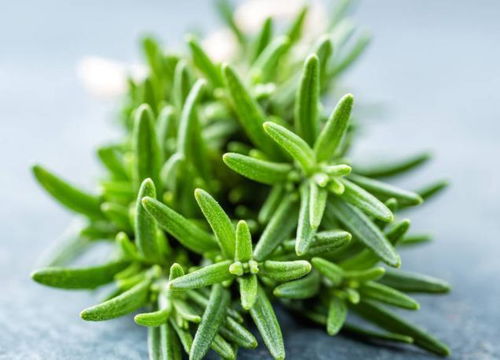 臉上出現(xiàn)這5個征兆，警惕數(shù)萬條螨蟲正侵襲！植物提取物研發(fā)帶來新希望